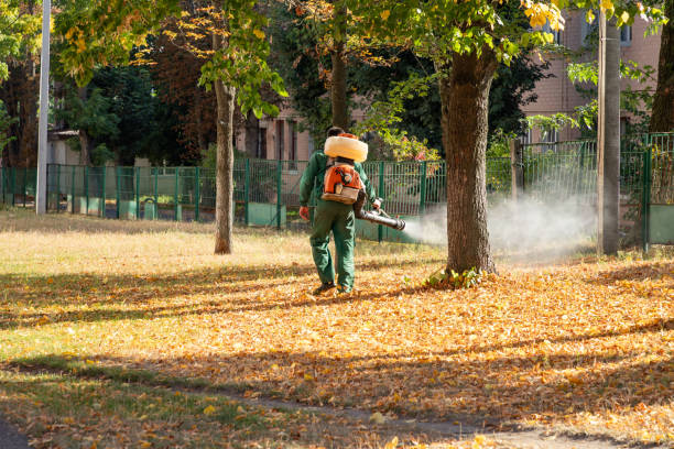 Best Exterminator Services  in Lemont Furnace, PA