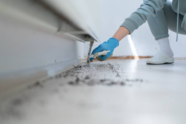 Best Commercial Pest Control Services  in Lemont Furnace, PA